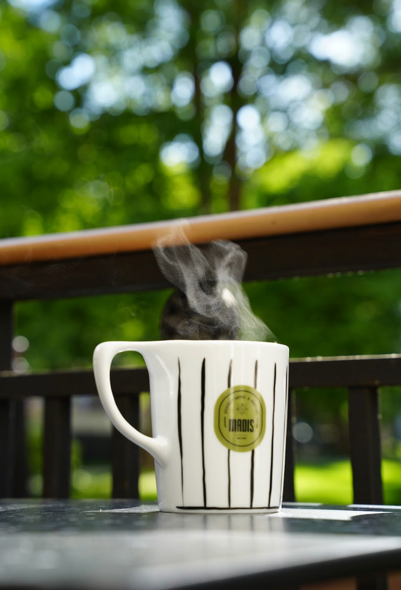 Lino Daily Drip Mug